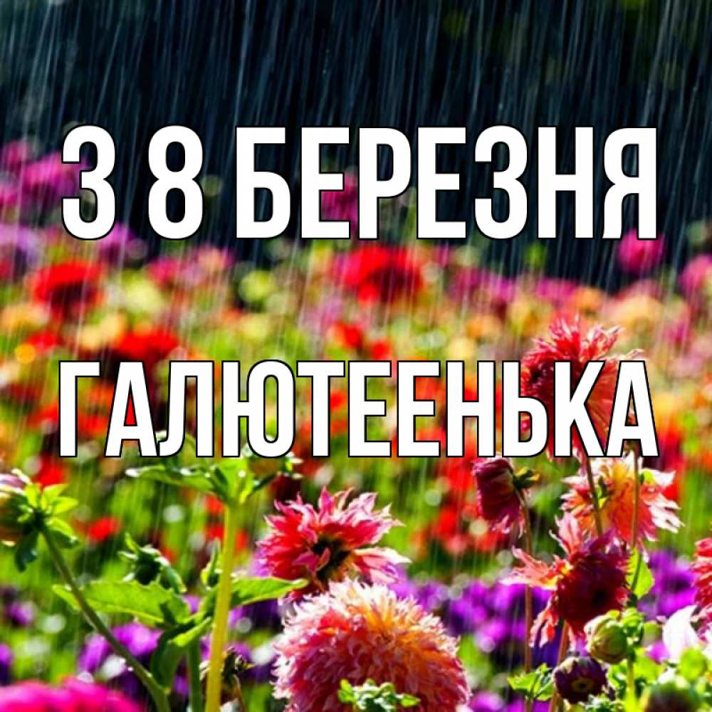 Открытка на каждый день з підписом, Галютеенька З 8 БЕРЕЗНЯ цветы под дождиком к международному женскому дню Прикольна листівка з побажанням онлайн скачати безкоштовно 