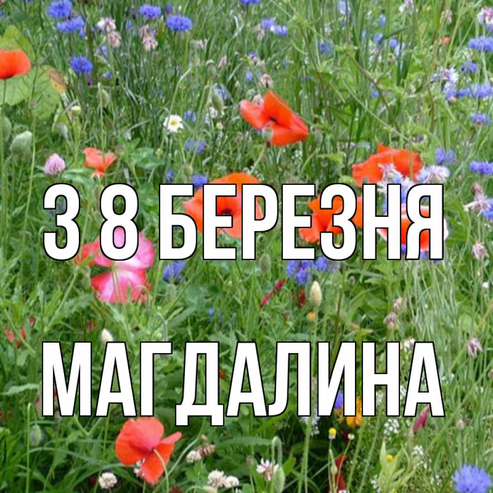 Открытка на каждый день з підписом, Магдалина З 8 БЕРЕЗНЯ международный женский день 4 Прикольна листівка з побажанням онлайн скачати безкоштовно 
