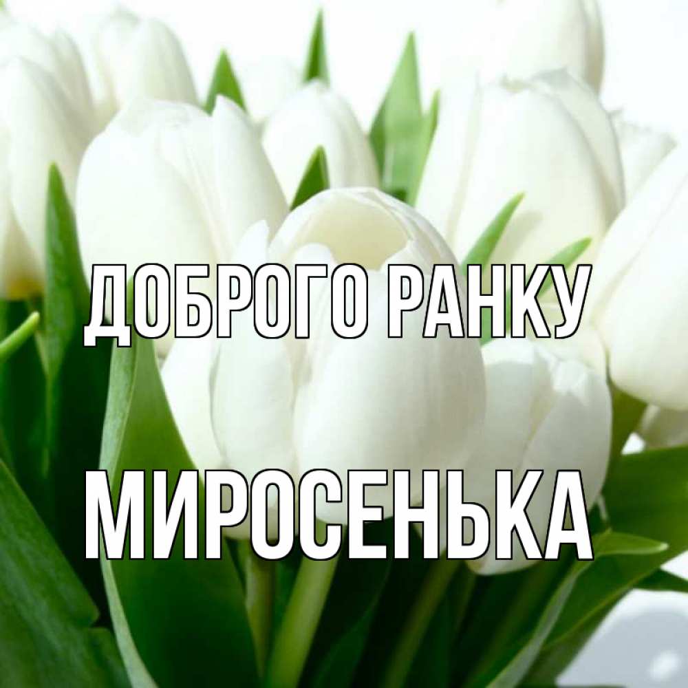 Открытка на каждый день з підписом, Миросенька Доброго ранку открытки на каждый день по именам Прикольна листівка з побажанням онлайн скачати безкоштовно 