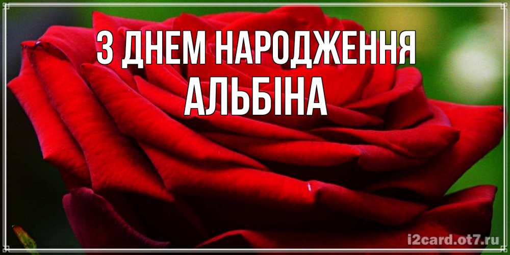 Открытка на каждый день з підписом, Альбіна З Днем народження розочка очень красивая Прикольна листівка з побажанням онлайн скачати безкоштовно 