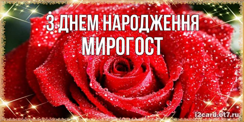Открытка на каждый день з підписом, Мирогост З Днем народження роса и роза. открытка с красивой розой Прикольна листівка з побажанням онлайн скачати безкоштовно 