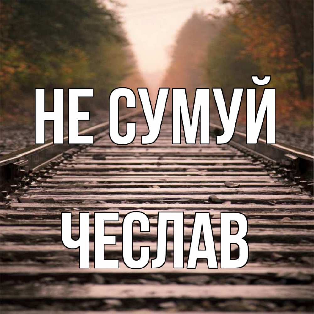 Открытка на каждый день з підписом, Чеслав Не сумуй лес и железная дорога Прикольна листівка з побажанням онлайн скачати безкоштовно 