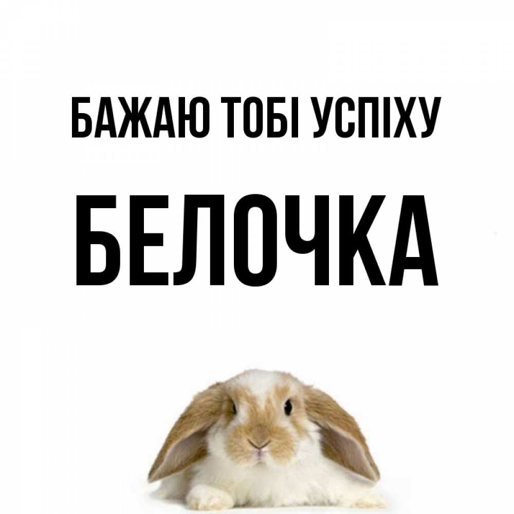 Открытка на каждый день з підписом, Белочка Бажаю тобі успіху открытки с произвольным текстом который можно вставить в открытку и создать ее самостоятельно бесплатно онлайн Прикольна листівка з побажанням онлайн скачати безкоштовно 