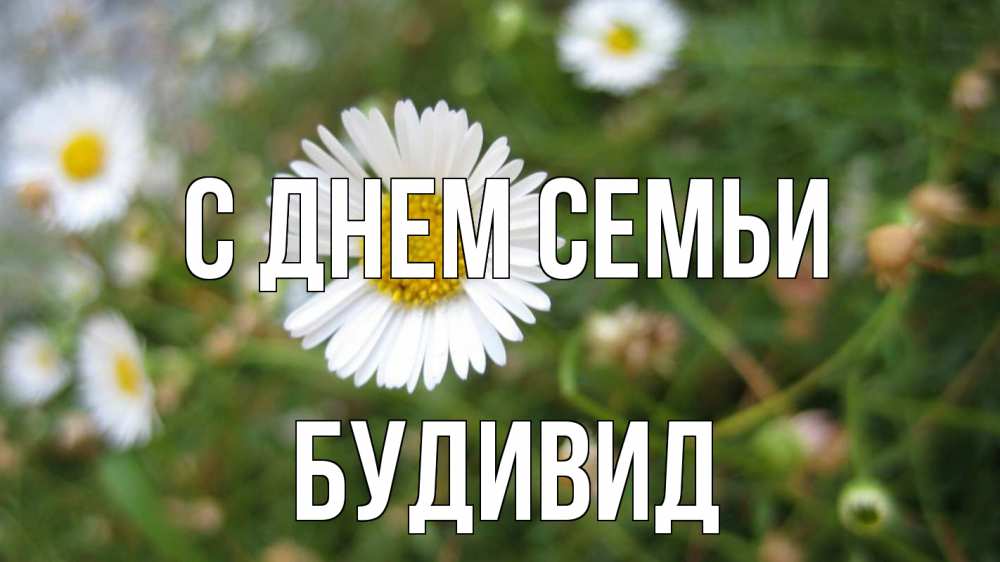 Открытка на каждый день з підписом, Будивид С днем семьи с днем семьи Прикольна листівка з побажанням онлайн скачати безкоштовно 
