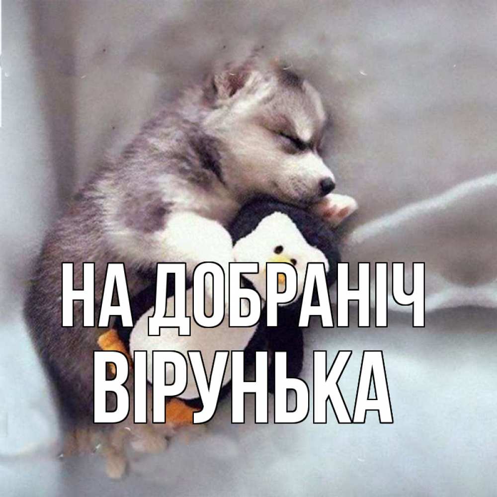 Открытка на каждый день з підписом, Вірунька На добраніч обнимашки щенка и пингвина Прикольна листівка з побажанням онлайн скачати безкоштовно 
