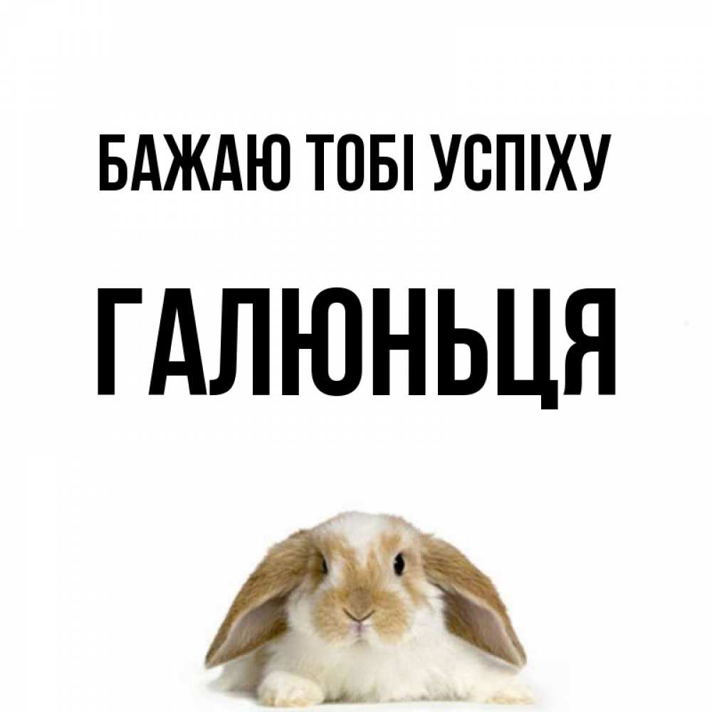 Открытка на каждый день з підписом, Галюньця Бажаю тобі успіху открытки с произвольным текстом который можно вставить в открытку и создать ее самостоятельно бесплатно онлайн Прикольна листівка з побажанням онлайн скачати безкоштовно 