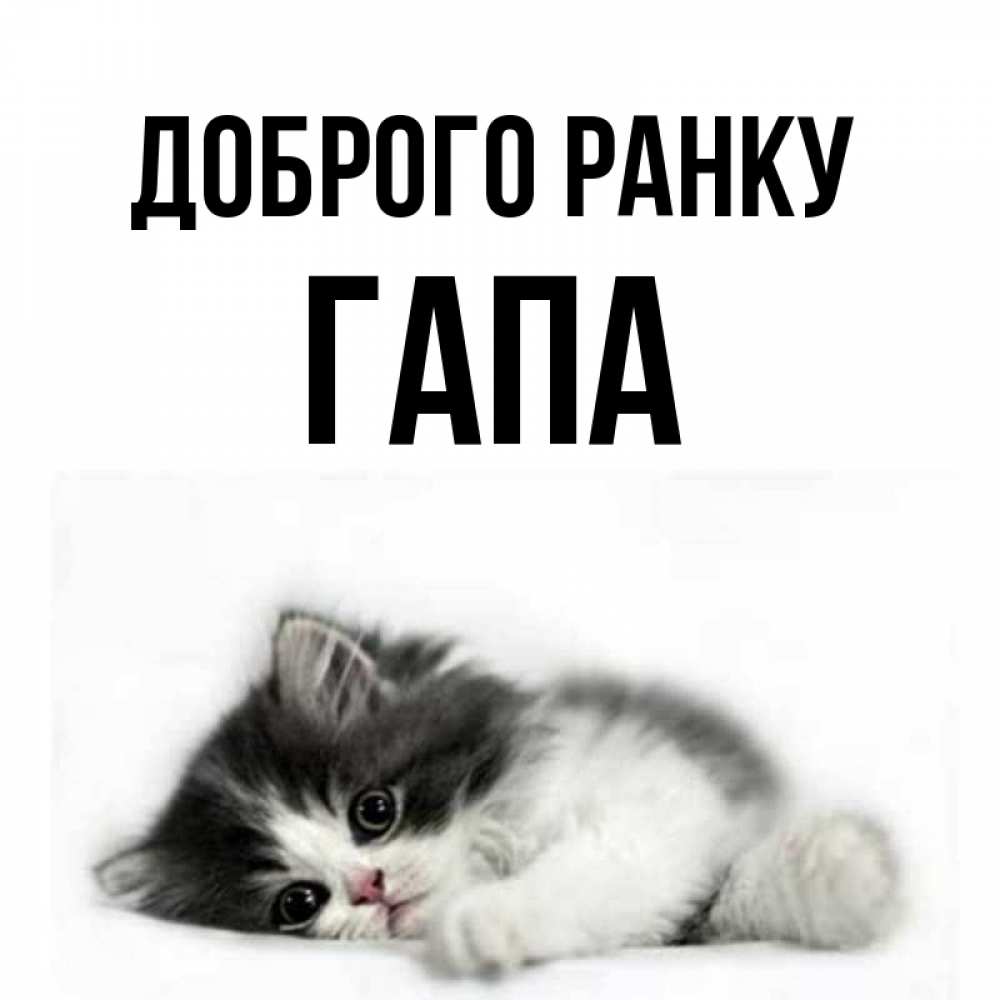 Открытка на каждый день з підписом, Гапа Доброго ранку кот лапки Прикольна листівка з побажанням онлайн скачати безкоштовно 