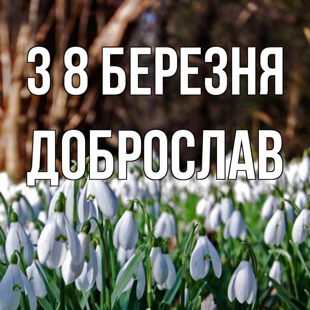 Открытка на каждый день з підписом, Доброслав З 8 БЕРЕЗНЯ с подснежниками 1 Прикольна листівка з побажанням онлайн скачати безкоштовно 