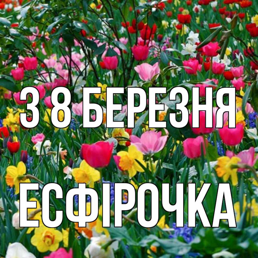 Открытка на каждый день з підписом, Есфірочка З 8 БЕРЕЗНЯ с международным женским днем поздравления для женщины Прикольна листівка з побажанням онлайн скачати безкоштовно 
