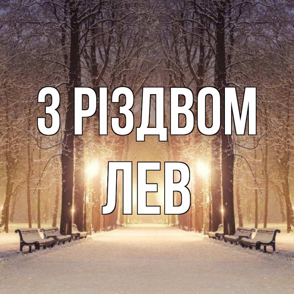 Открытка на каждый день з підписом, Лев З Різдвом зима, парк, фонарь, лес Прикольна листівка з побажанням онлайн скачати безкоштовно 