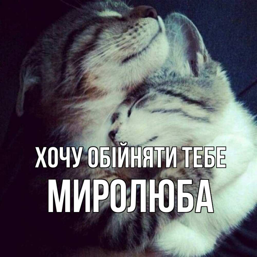 Открытка на каждый день з підписом, Миролюба Хочу обійняти тебе полосатики Прикольна листівка з побажанням онлайн скачати безкоштовно 