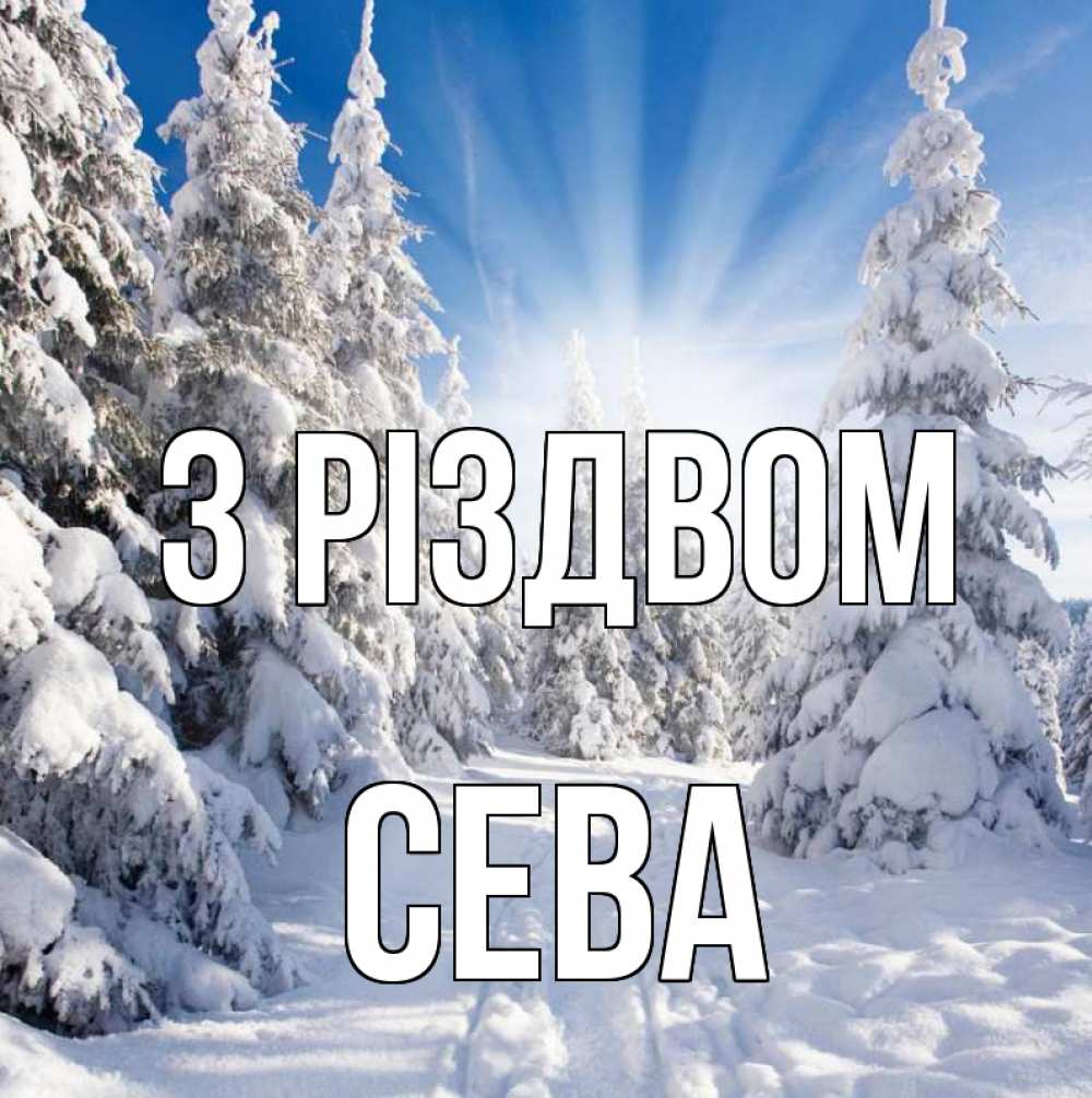 Открытка на каждый день з підписом, Сева З Різдвом зима, лес Прикольна листівка з побажанням онлайн скачати безкоштовно 