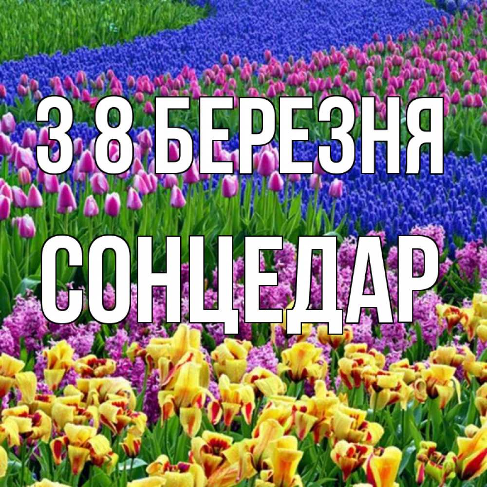 Открытка на каждый день з підписом, Сонцедар З 8 БЕРЕЗНЯ цветы Прикольна листівка з побажанням онлайн скачати безкоштовно 