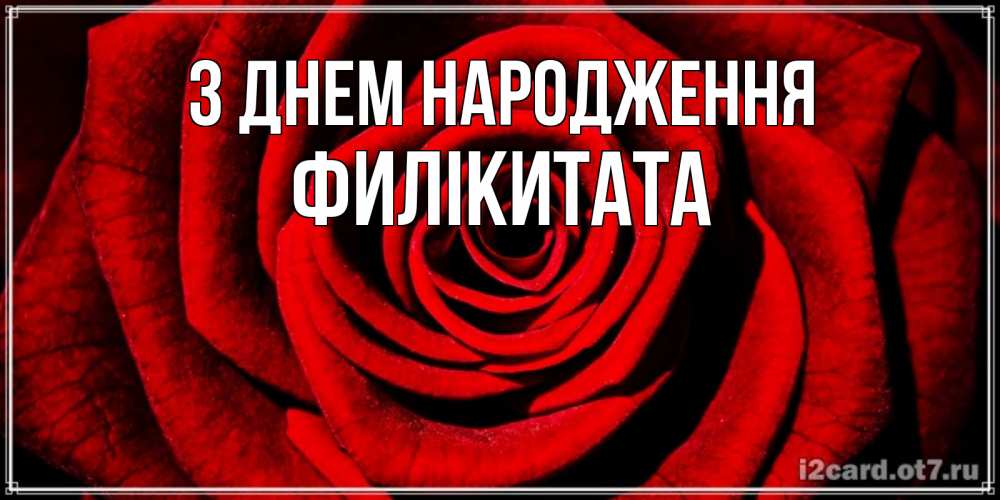 Открытка на каждый день з підписом, Филікитата З Днем народження алая роза Прикольна листівка з побажанням онлайн скачати безкоштовно 