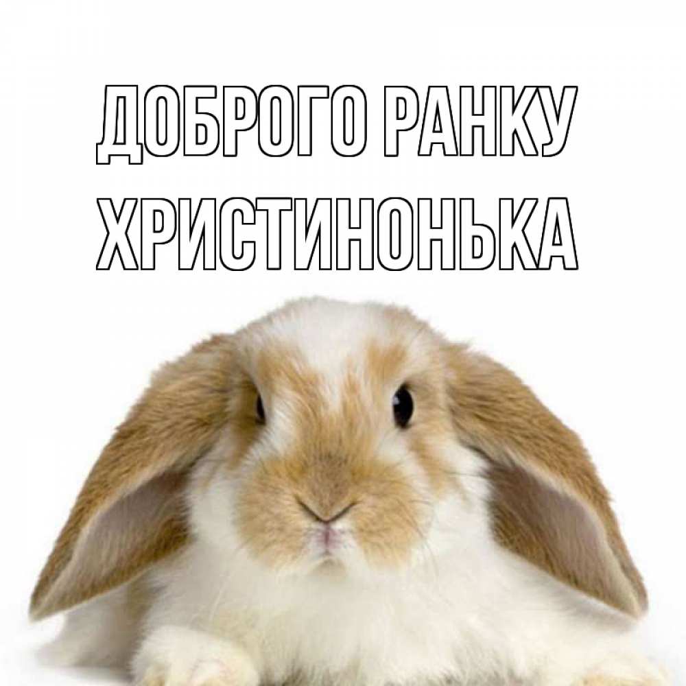 Открытка на каждый день з підписом, Христинонька Доброго ранку прикольные открытки на каждый день Прикольна листівка з побажанням онлайн скачати безкоштовно 