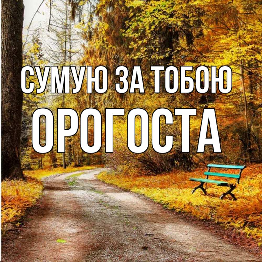 Открытка на каждый день з підписом, Орогоста Сумую за тобою зеленая лавочка и осенний лес Прикольна листівка з побажанням онлайн скачати безкоштовно 