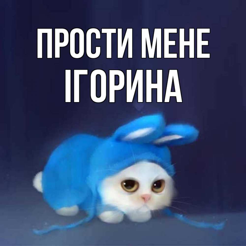 Открытка на каждый день з підписом, Ігорина Прости мене невинный котозай просит прощения Прикольна листівка з побажанням онлайн скачати безкоштовно 