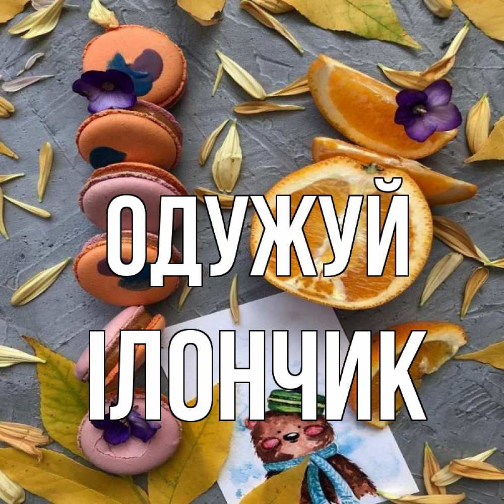 Открытка на каждый день з підписом, Ілончик Одужуй не болейте Прикольна листівка з побажанням онлайн скачати безкоштовно 