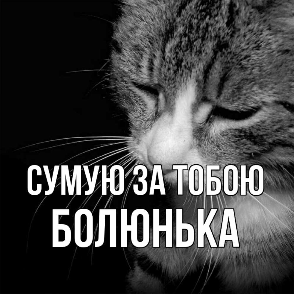 Открытка на каждый день з підписом, Болюнька Сумую за тобою мне скучно Прикольна листівка з побажанням онлайн скачати безкоштовно 