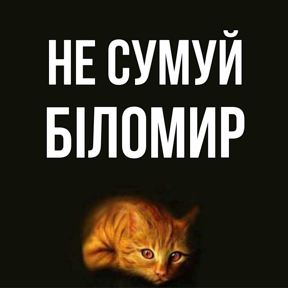 Открытка на каждый день з підписом, Біломир Не сумуй лежащий кот в темноте Прикольна листівка з побажанням онлайн скачати безкоштовно 