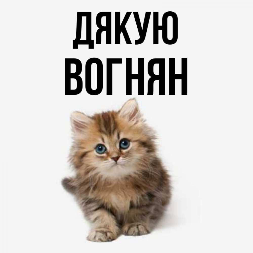 Открытка на каждый день з підписом, Вогнян Дякую пушистый котик Прикольна листівка з побажанням онлайн скачати безкоштовно 