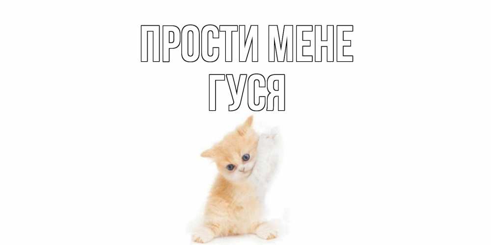 Открытка на каждый день з підписом, Гуся Прости мене кот Прикольна листівка з побажанням онлайн скачати безкоштовно 