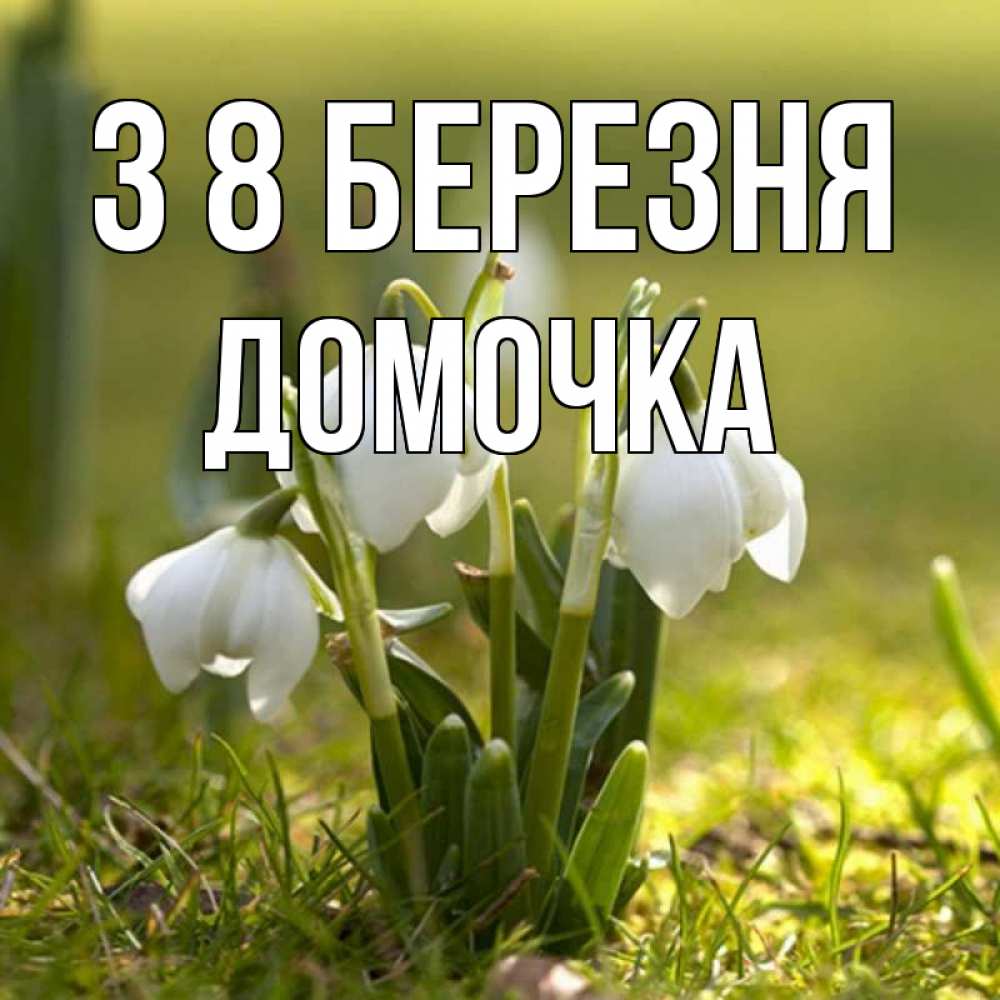 Открытка на каждый день з підписом, Домочка З 8 БЕРЕЗНЯ ранние цветы 2 Прикольна листівка з побажанням онлайн скачати безкоштовно 