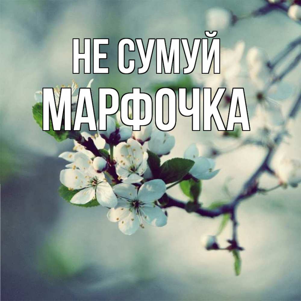 Открытка на каждый день з підписом, Марфочка Не сумуй яблоня в цвету 1 Прикольна листівка з побажанням онлайн скачати безкоштовно 