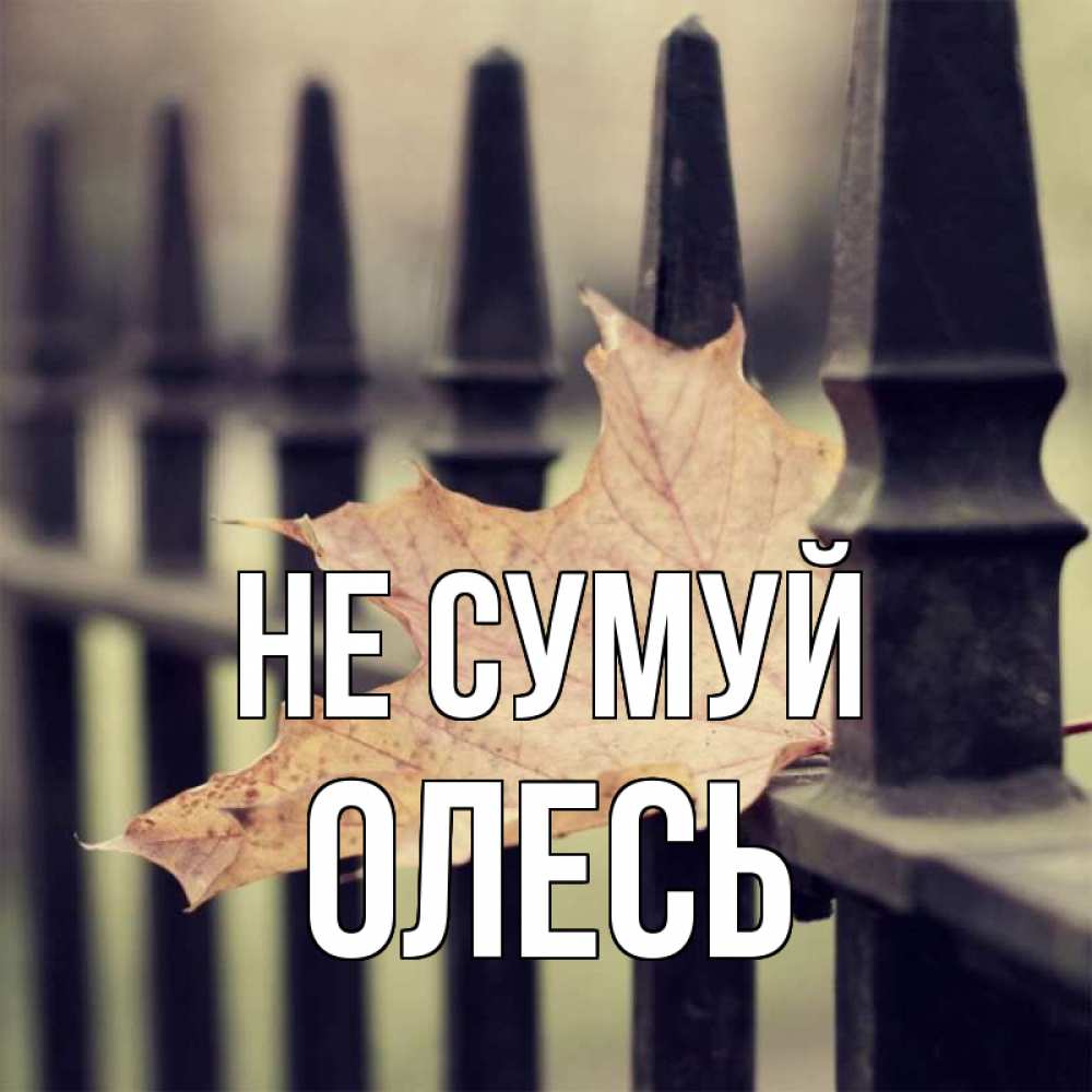 Открытка на каждый день з підписом, Олесь Не сумуй лист клена Прикольна листівка з побажанням онлайн скачати безкоштовно 
