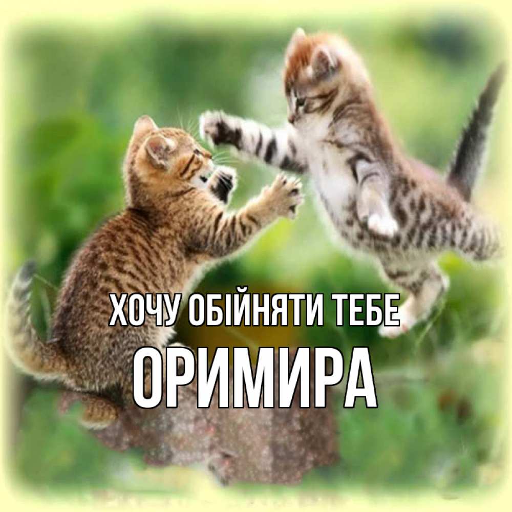 Открытка на каждый день з підписом, Оримира Хочу обійняти тебе игры котят Прикольна листівка з побажанням онлайн скачати безкоштовно 