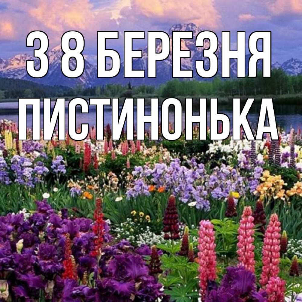 Открытка на каждый день з підписом, Пистинонька З 8 БЕРЕЗНЯ международный женский день Прикольна листівка з побажанням онлайн скачати безкоштовно 
