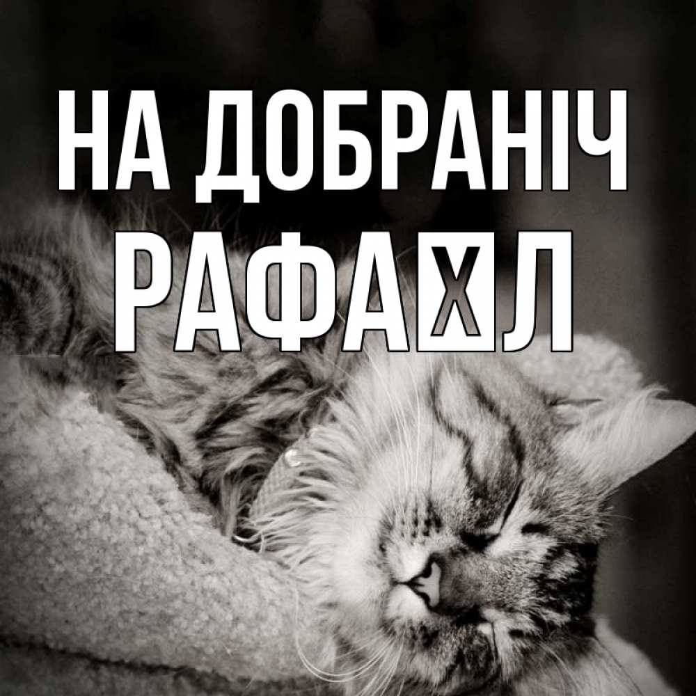 Открытка на каждый день з підписом, Рафаїл На добраніч котярик пушистый Прикольна листівка з побажанням онлайн скачати безкоштовно 