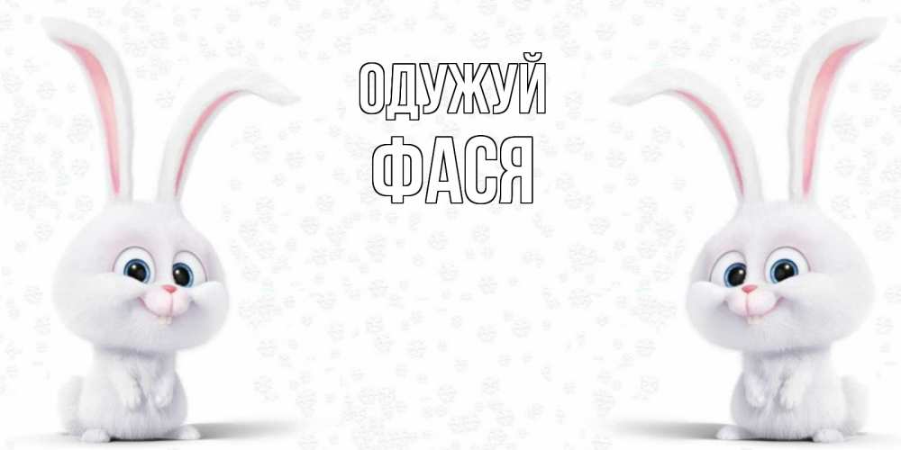 Открытка на каждый день з підписом, Фася Одужуй не болей с зайцем Прикольна листівка з побажанням онлайн скачати безкоштовно 