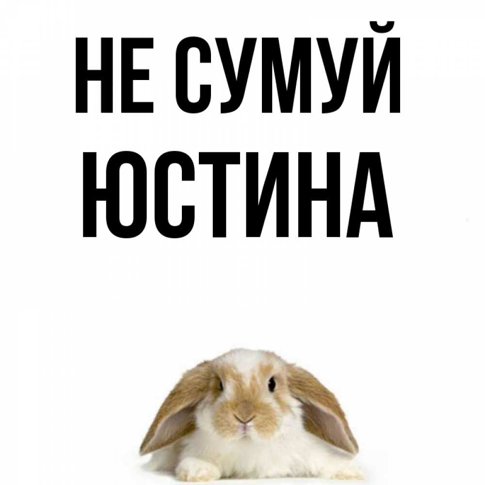 Открытка на каждый день з підписом, Юстина Не сумуй коричнево белый заяц с большими ушками Прикольна листівка з побажанням онлайн скачати безкоштовно 