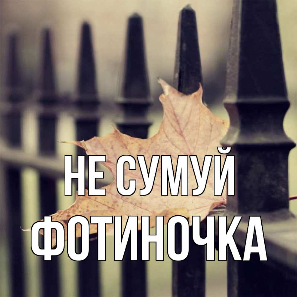 Открытка на каждый день з підписом, Фотиночка Не сумуй лист клена Прикольна листівка з побажанням онлайн скачати безкоштовно 