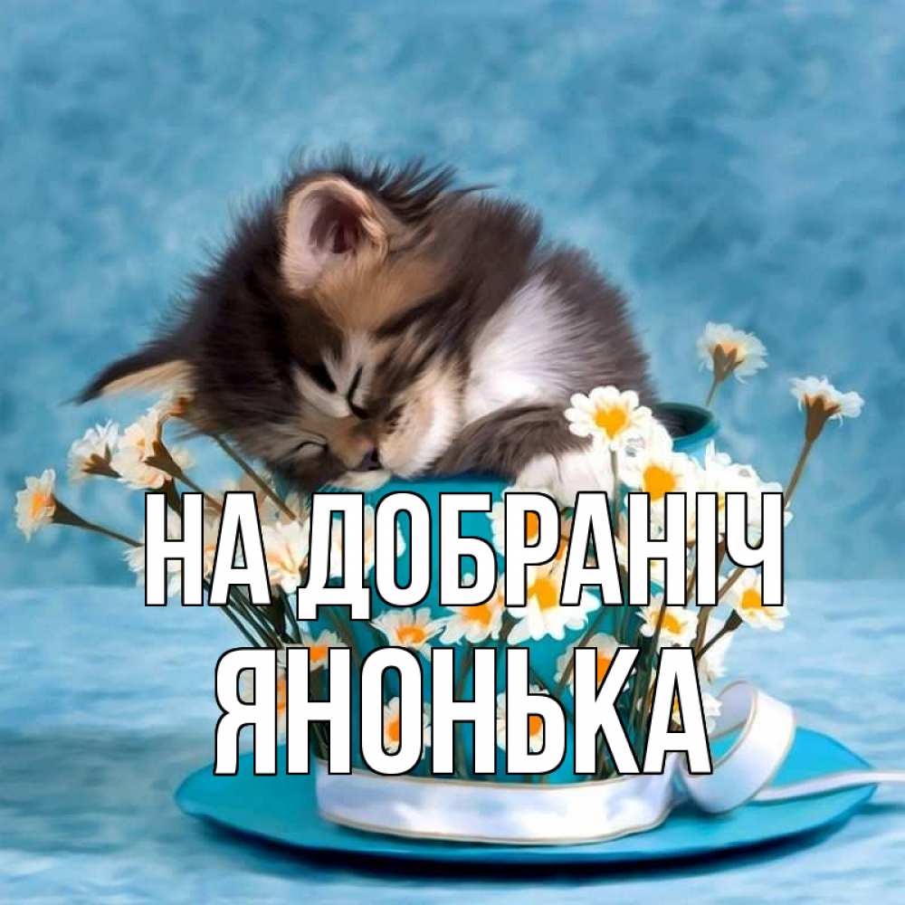 Открытка на каждый день з підписом, Янонька На добраніч котенок спит в кружке с блюдцем Прикольна листівка з побажанням онлайн скачати безкоштовно 