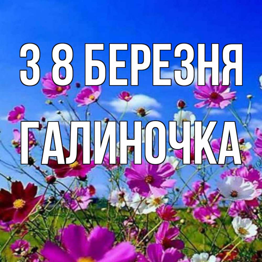 Открытка на каждый день з підписом, Галиночка З 8 БЕРЕЗНЯ цветы Прикольна листівка з побажанням онлайн скачати безкоштовно 