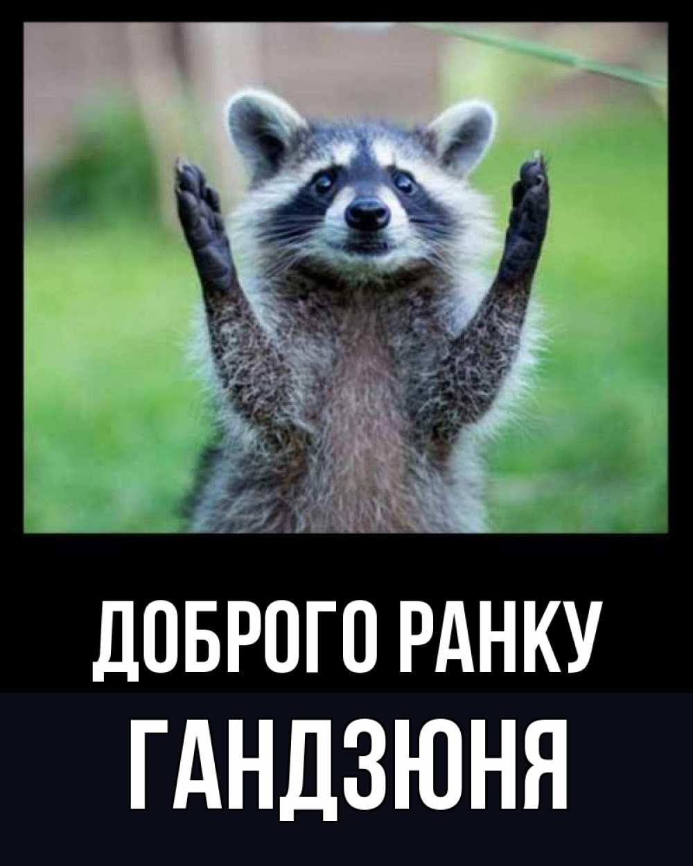 Открытка на каждый день з підписом, Гандзюня Доброго ранку хорошее настроение утречком Прикольна листівка з побажанням онлайн скачати безкоштовно 
