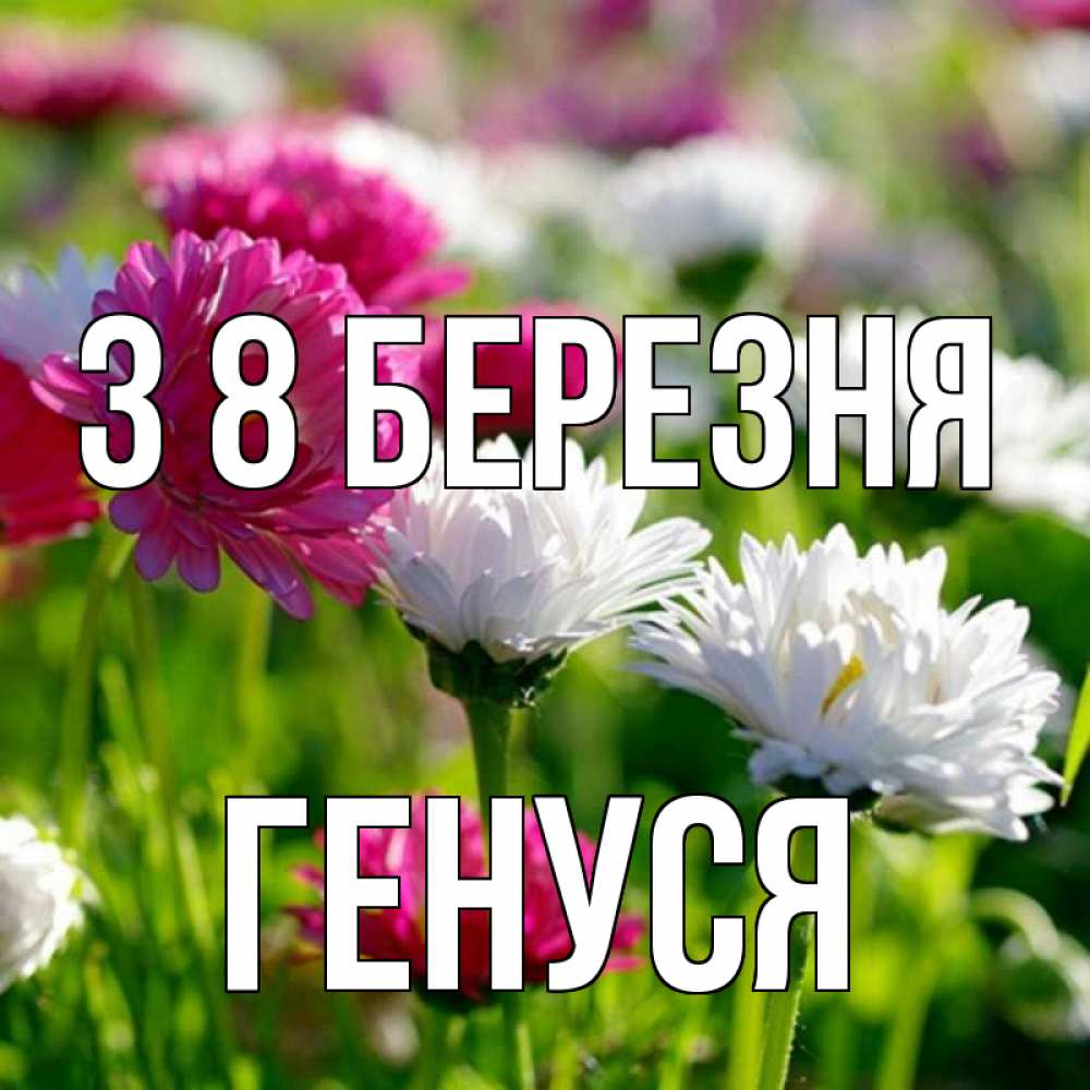 Открытка на каждый день з підписом, Генуся З 8 БЕРЕЗНЯ международный женский день 1 Прикольна листівка з побажанням онлайн скачати безкоштовно 