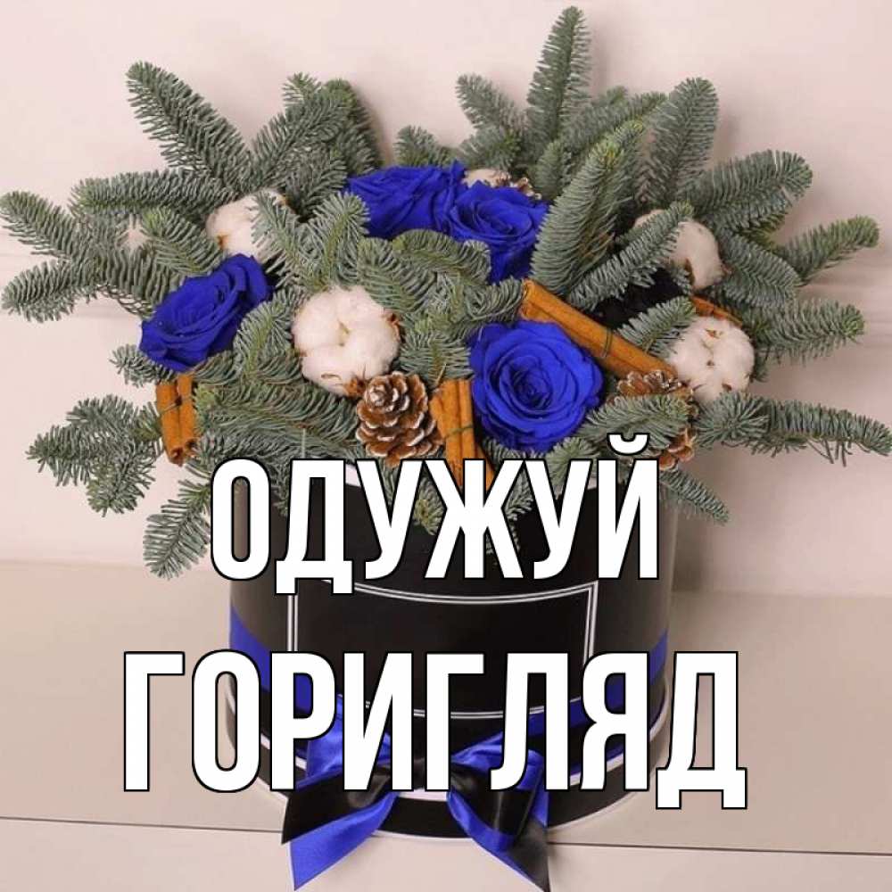 Открытка на каждый день з підписом, Горигляд Одужуй короче кто то загрузил эти шишки Прикольна листівка з побажанням онлайн скачати безкоштовно 
