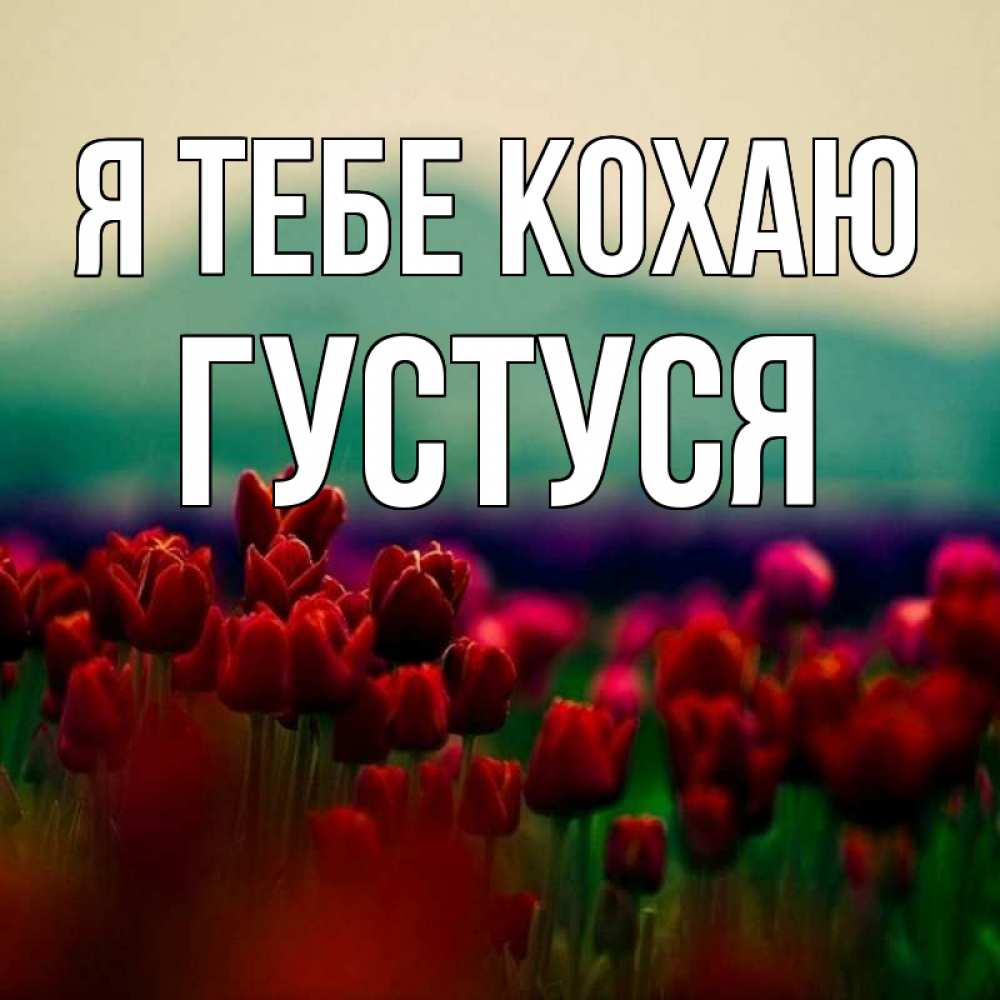 Открытка на каждый день з підписом, Густуся Я тебе кохаю тюльпаны 4 Прикольна листівка з побажанням онлайн скачати безкоштовно 