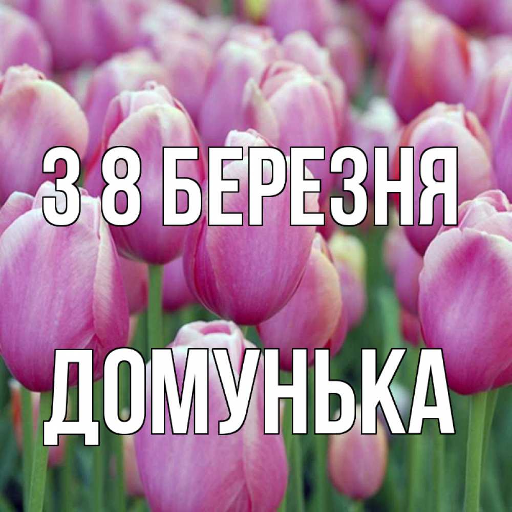Открытка на каждый день з підписом, Домунька З 8 БЕРЕЗНЯ на международный женский день 3 Прикольна листівка з побажанням онлайн скачати безкоштовно 