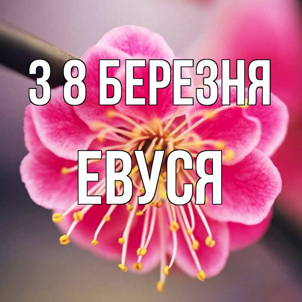Открытка на каждый день з підписом, Евуся З 8 БЕРЕЗНЯ цветы Прикольна листівка з побажанням онлайн скачати безкоштовно 
