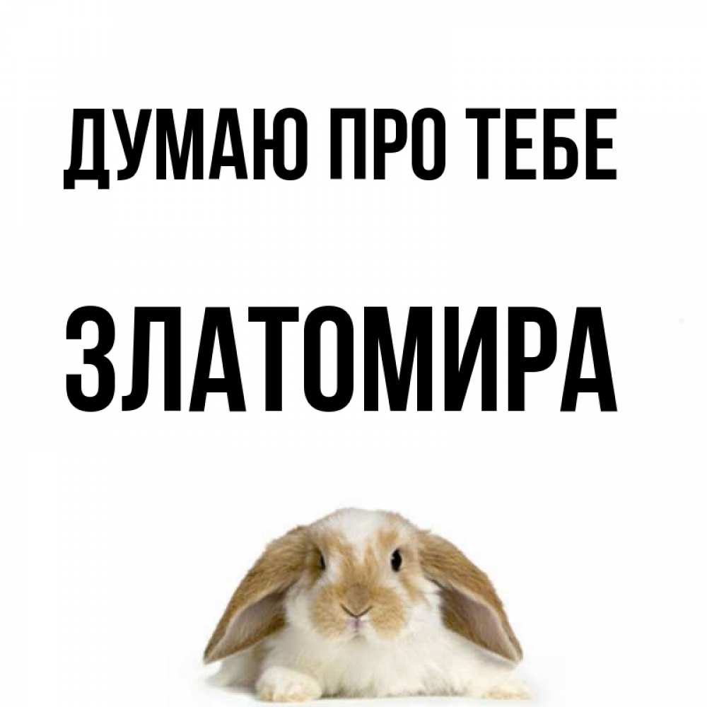 Открытка на каждый день з підписом, Златомира Думаю про тебе подписать своими руками онлайн Прикольна листівка з побажанням онлайн скачати безкоштовно 
