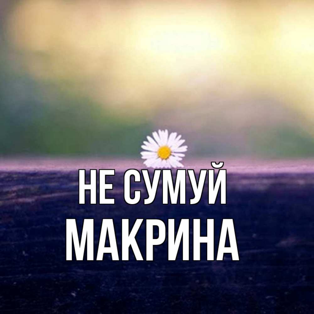 Открытка на каждый день з підписом, Макрина Не сумуй красота Прикольна листівка з побажанням онлайн скачати безкоштовно 