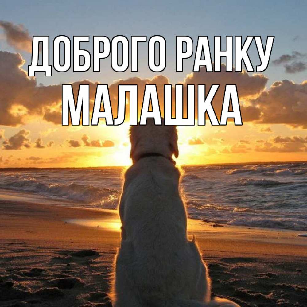 Открытка на каждый день з підписом, Малашка Доброго ранку восход солнца Прикольна листівка з побажанням онлайн скачати безкоштовно 