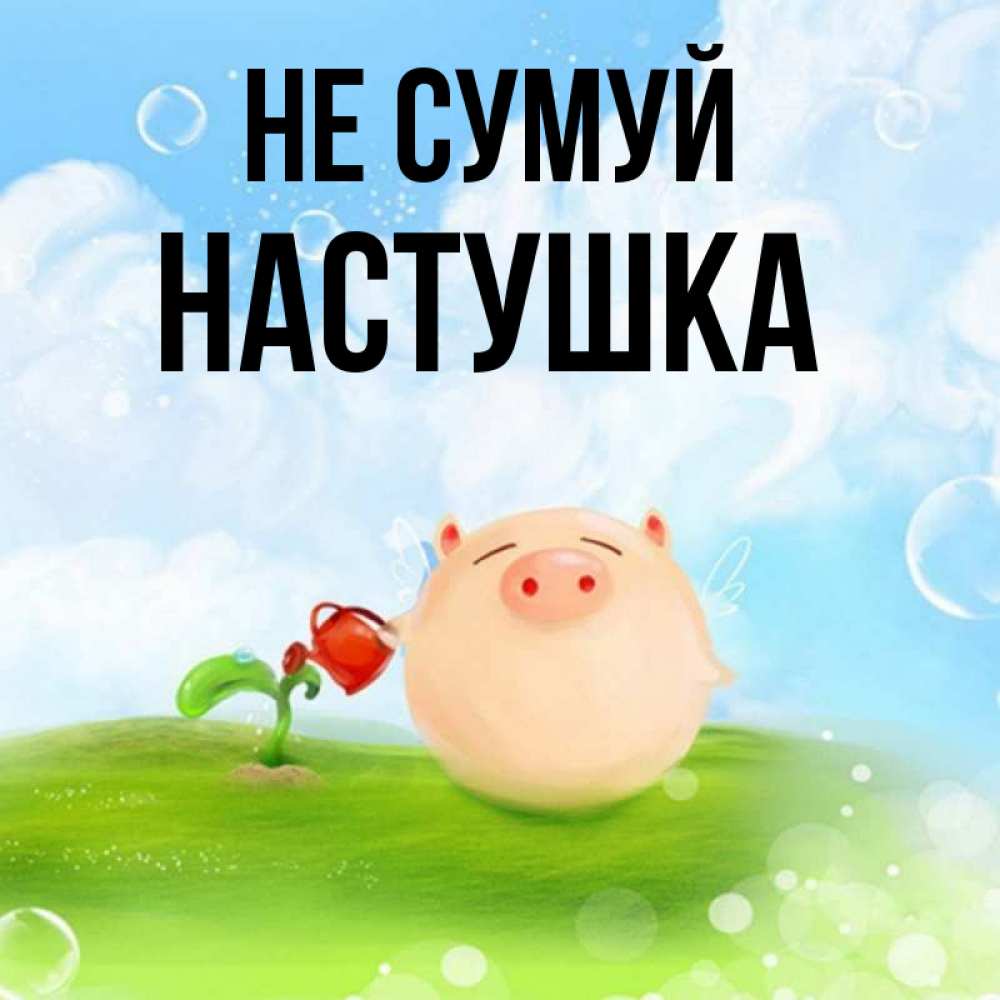 Открытка на каждый день з підписом, Настушка Не сумуй поливает цветок порося Прикольна листівка з побажанням онлайн скачати безкоштовно 