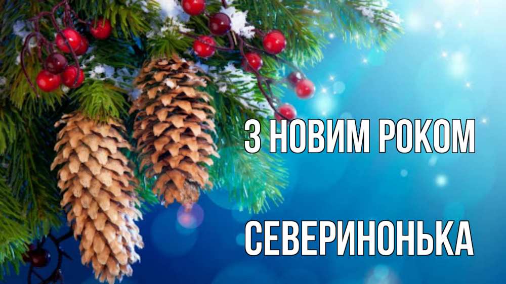 Открытка на каждый день з підписом, Северинонька З новим роком Новый год, ель, шишки Прикольна листівка з побажанням онлайн скачати безкоштовно 