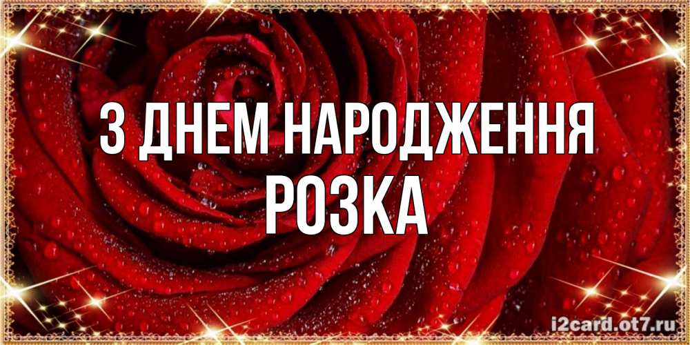Открытка на каждый день з підписом, Розка З Днем народження роса на розе блестящая в лучах солнца Прикольна листівка з побажанням онлайн скачати безкоштовно 