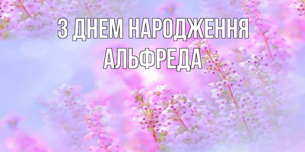 Открытка на каждый день з підписом, Альфреда З Днем народження красивая открытка с мелкими цветами Прикольна листівка з побажанням онлайн скачати безкоштовно 